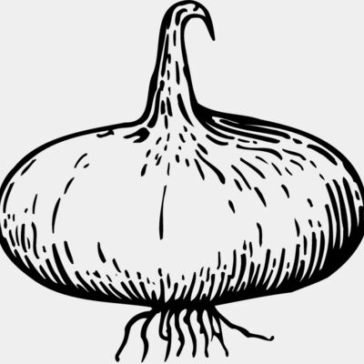 VEG004 Thumbnail