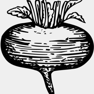 VEG018 Thumbnail