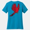 Ladies 5.4 oz 100% Cotton T Shirt Thumbnail