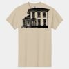 Heavy Cotton ™ 100% Cotton T Shirt Thumbnail