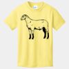 Youth Core Cotton Tee Thumbnail